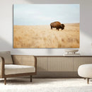 Buffalo Wall Art Canvas Print – Framed Western Wildlife by MyGreatCanvas | Canvas Wall Art Prints | Photo Prints & Wall Decor