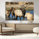 Wild Elk Wall Art Canvas Print – Framed Neutral Wildlife by MyGreatCanvas | Canvas Wall Art Prints | Photo Prints & Wall Decor