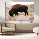 Western Wildlife Wall Art Canvas Print, Majestic Wilderness by MyGreatCanvas | Canvas Wall Art Prints | Photo Prints & Wall Decor