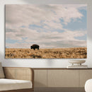 American Wild Bison Wall Art Canvas Print – Framed Rustic by MyGreatCanvas | Canvas Wall Art Prints | Photo Prints & Wall Decor