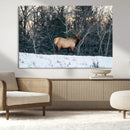 Wild Elk Wall Art Canvas Print – Framed Winter Wildlife by MyGreatCanvas | Canvas Wall Art Prints | Photo Prints & Wall Decor
