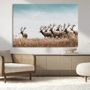 Elk Herd Wall Art Canvas Print – Framed Wildlife Photography