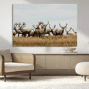 Elk Herd Wall Art Canvas Print – Framed Wildlife Photography