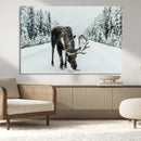 Moose Snow Wall Art Canvas Print – Framed Winter Wildlife