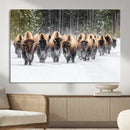 American Bison Herd Wall Art Canvas Print – Powerful Winter by MyGreatCanvas | Canvas Wall Art Prints | Photo Prints & Wall Decor