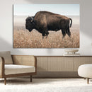 American Bison Wall Art Canvas Print – Majestic Buffalo
