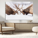 Dramatic Elk Antler Battle Wall Art Canvas Print – elk by MyGreatCanvas | Canvas Wall Art Prints | Photo Prints & Wall Decor