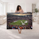 Chicago Bears Soldiers Field Wall Art Canvas Print – Framed