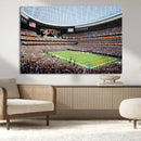 Chicago Bears Soldiers Field Wall Art Canvas Print – Framed