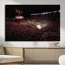 William Brice Stadium Wall Art Print – Baseball Game Room by MyGreatCanvas | Canvas Wall Art Prints | Photo Prints & Wall Decor