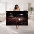 William Brice Stadium Wall Art Print – Baseball Game Room