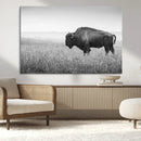 Black White Bison Canvas Wall Art, Rustic American Buffalo by MyGreatCanvas | Canvas Wall Art Prints | Photo Prints & Wall Decor