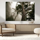 Misty Forest Tall Trees Foggy Atmosphere Nature Serenity by MyGreatCanvas | Canvas Wall Art Prints | Photo Prints & Wall Decor