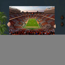 Tennessee Neyland Stadium Wall Art, Sports Arena Canvas by MyGreatCanvas | Canvas Wall Art Prints | Photo Prints & Wall Decor