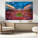 Tennessee Neyland Stadium Wall Art, Sports Arena Canvas by MyGreatCanvas | Canvas Wall Art Prints | Photo Prints & Wall Decor