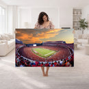Dooley Stadium Wall Art, Sports Arena Canvas Print, Dooley