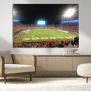 Dooley Stadium Wall Art, Sports Arena Panoramic Canvas by MyGreatCanvas | Canvas Wall Art Prints | Photo Prints & Wall Decor