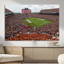 Jordan-Hare Stadium Wall Art Canvas Print, College Sports by MyGreatCanvas | Canvas Wall Art Prints | Photo Prints & Wall Decor