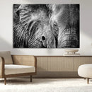 Wild Old Elephant Wall Art Canvas Print