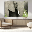 Wild Elephant Wall Art Canvas Print by MyGreatCanvas | Canvas Wall Art Prints | Photo Prints & Wall Decor