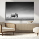 Elephand and Zebra Wall Art Canvas Print, Modern Artwork
