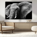Big Elephant Close Up Wall Art Canvas Print