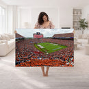Auburn Stadium Wall Art Canvas Print, Jordan Hare Stadium
