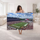 Georgia Bulldogs Stadium Wall Art Canvas Print, Sanford