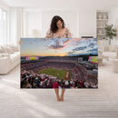Donald W. Reynolds Razorback Stadium Wall Art Canvas Print –