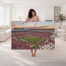 Donald W. Reynolds Razorback Stadium Wall Art Canvas Print –