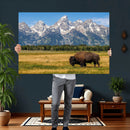 Bison in Mountain Landscape Wall Art Canvas Print – Western by MyGreatCanvas | Canvas Wall Art Prints | Photo Prints & Wall Decor