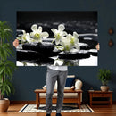 Plumeria Frangipani Black Stone Canvas | White Flower Spa by MyGreatCanvas | Canvas Wall Art Prints | Photo Prints & Wall Decor