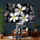 Plumeria Frangipani Black Stone Canvas | White Flower Spa by MyGreatCanvas | Canvas Wall Art Prints | Photo Prints & Wall Decor