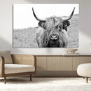 Newfoundland Cow Art Wall Art, Black White Cow Art Wall Art