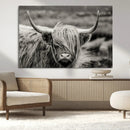 Cow Focus Canvas Wall Art Print by MyGreatCanvas | Canvas Wall Art Prints | Photo Prints & Wall Decor