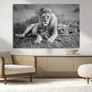 King Forest Lion Wall Art Canvas Print – Framed Majestic by MyGreatCanvas | Canvas Wall Art Prints | Photo Prints & Wall Decor