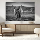 Fluffy Cattle Wall Art Print, Highland Cow Canvas, Framed by MyGreatCanvas | Canvas Wall Art Prints | Photo Prints & Wall Decor