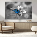 Blue Butterfly Black and White Canvas Wall Art by MyGreatCanvas | Canvas Wall Art Prints | Photo Prints & Wall Decor
