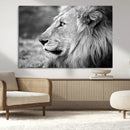 Lion Wall Art Canvas Print – Framed Majestic Wildlife by MyGreatCanvas | Canvas Wall Art Prints | Photo Prints & Wall Decor