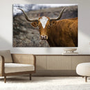 Texas Longhorn Canvas Wall Art - Longhorn Steer Canvas Wall