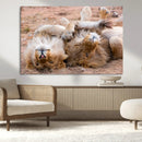 Lion Pair Wall Art Canvas Print – Framed Wildlife Scene with