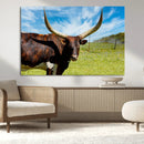 Longhorn and Cow Wall Art, Country Cow Wall Decor Canvas by MyGreatCanvas | Canvas Wall Art Prints | Photo Prints & Wall Decor