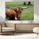 Longhorn Steer Canvas Wall Art – Rustic Nature Triptych