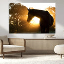 Horse at Sunset Wall Art Animal Canvas Print