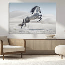 Prancing Horse Desert Large Wall Art Canvas Print – Majestic