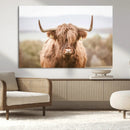 Scottish Serene Highland Cow Canvas Wall Art – Serene