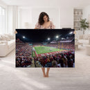 Mississippi State Bulldogs Stadium Wall Art Canvas Print –