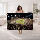 Washington-Grizzly Stadium Canvas Wall Art – Exciting Game