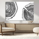 Abstract Large Tree Rings – Minimalist Black and White Wood