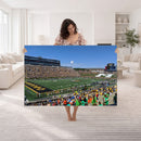 University of Missouri Tigers Football Team Print - Columbia